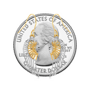 Angel Wing Earrings 10K Gold Two Tone