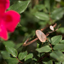Rose Gold Cuff Bracelet w/ Quartz | Sterling Silver